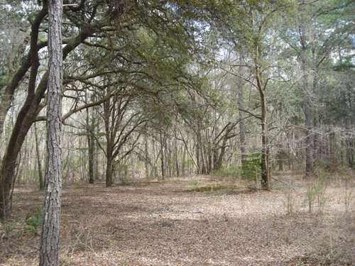 Land for Sale in Ridgeville, South Carolina — 22.43           AC — $186,000.00