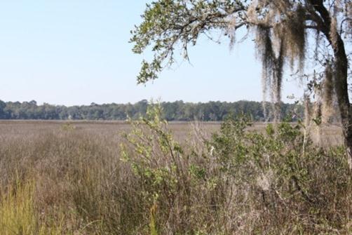 Land for Sale in Charleston, South Carolina — 10.20           AC — $395,000.00