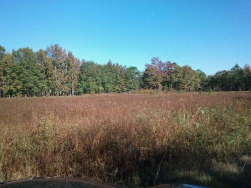 Land for Sale in New Zion, South Carolina — 65.10           AC — $182,280.00