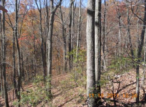 Land for Sale in Travelers Rest, South Carolina — 10.00           AC — $119,000.00