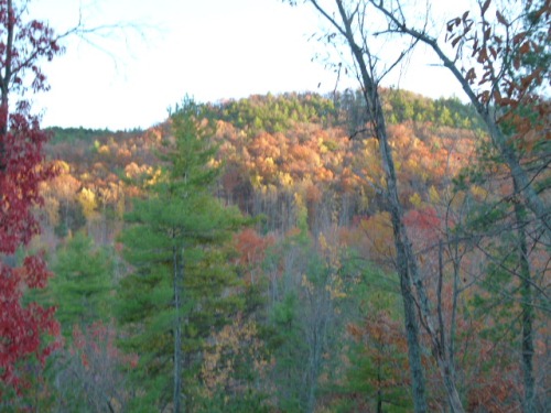 Land for Sale in Morganton, North Carolina — 272.00          AC — $997,000.00