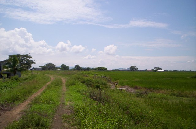 Land for Sale in Guayaquil, Guayas — 12.00           HE — $1,440,000.00