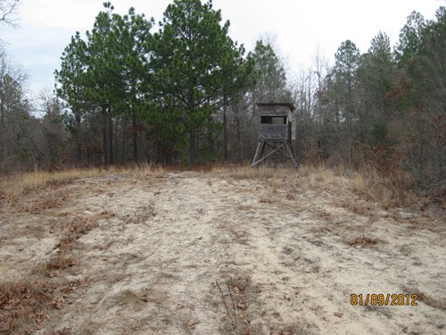 Land for Sale in Williston, South Carolina — 46.30           AC — $102,960.00