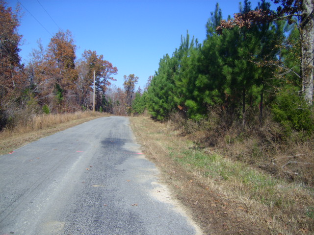 Land for Sale in Parsons, Tennessee — 11.40           AC — $38,600.00