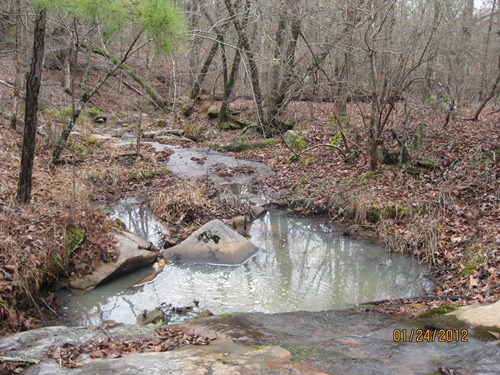 Land for Sale in Carlisle, South Carolina — 149.00          AC — $409,750.00