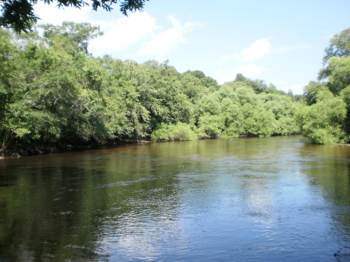 Land for Sale in Ridgeville, South Carolina — 170.00          AC — $425,000.00
