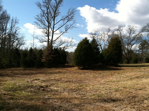 Land for Sale in Pelzer, South Carolina — 10.00           AC — $99,900.00