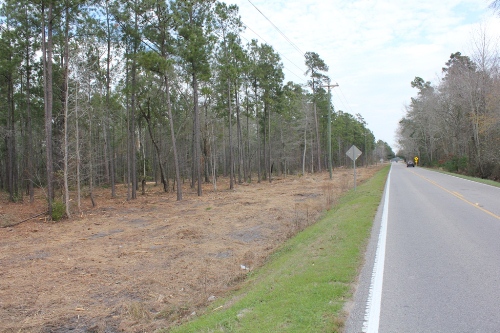 Land for Sale in Moncks Corner, South Carolina — 5.00            AC — $79,000.00