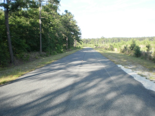 Land for Sale in Lodge, South Carolina — 108.00          AC — $270,000.00