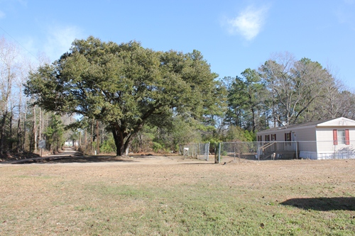 Land for Sale in Ridgeville, South Carolina — 3.40            AC — $99,500.00