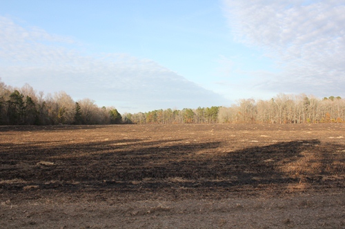 Land for Sale in Holly Hill, South Carolina — 58.00           AC — $217,500.00