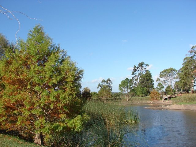 Land for Sale in Maldonado — 20,000.00       SM — $800,000.00