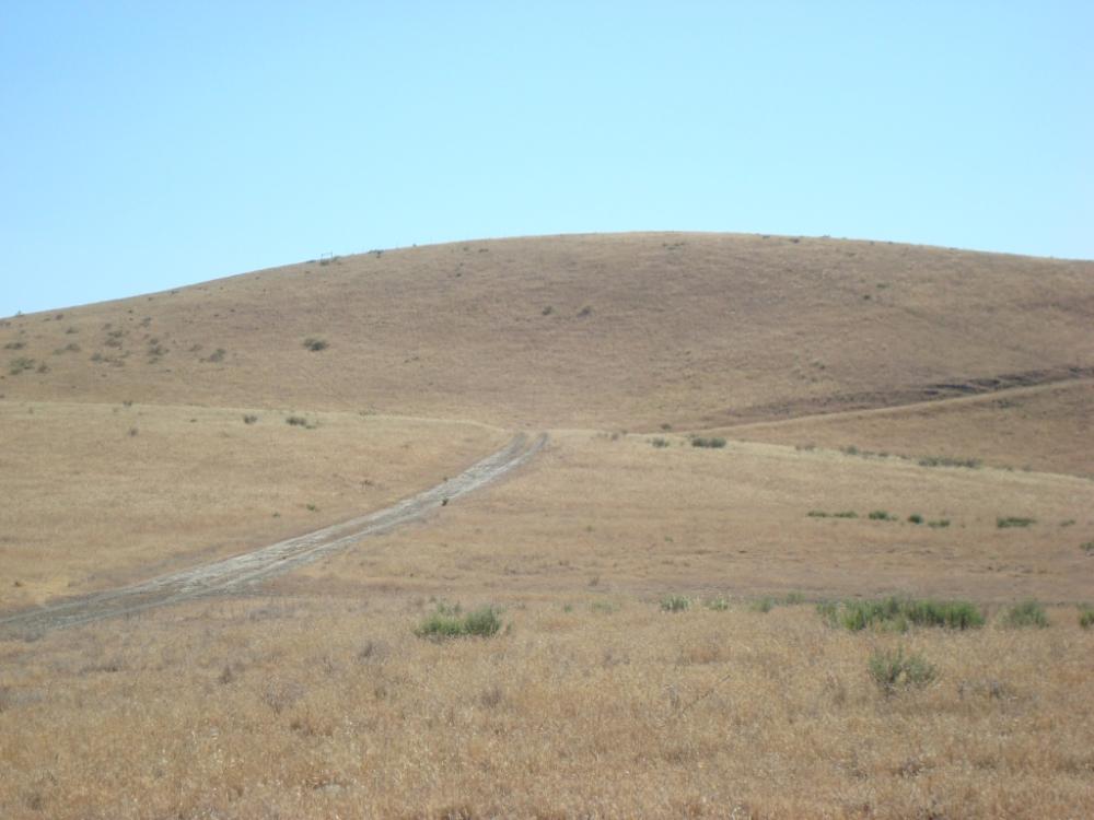 Land for Sale in Shandon, California — 501.00          AC — $752,000.00