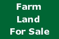 Land for Sale in Saint Joseph — 15.92           AC — $220,000.00