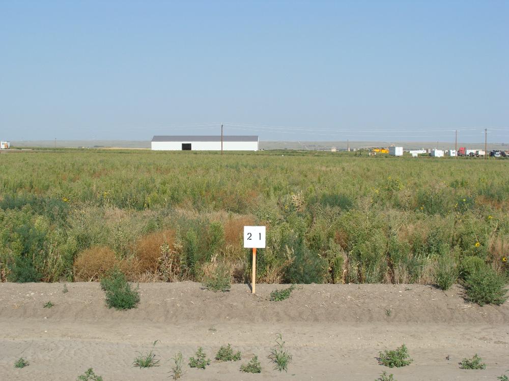 Land for Sale in Williston, North Dakota — 280.00          AC — $5,950,000.00