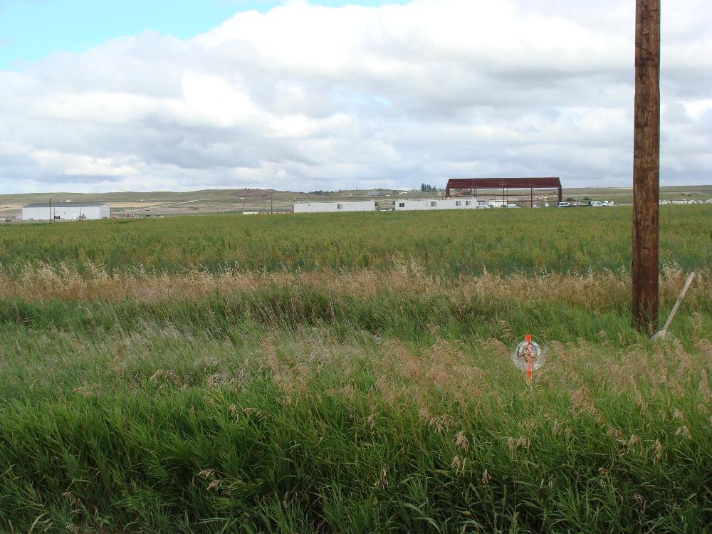 Land for Sale in Williston, North Dakota — 102.00          AC — $150,000.00