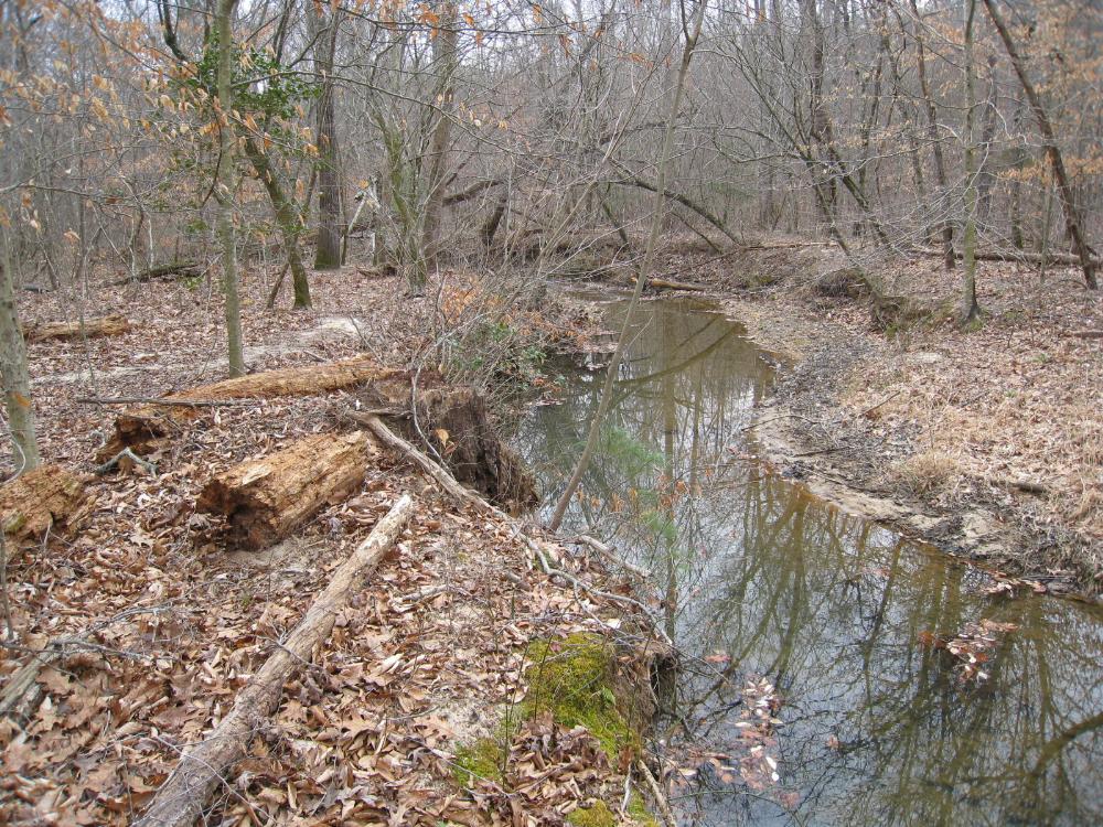 Land for Sale in Francisco, North Carolina — 10.77           AC — $63,000.00