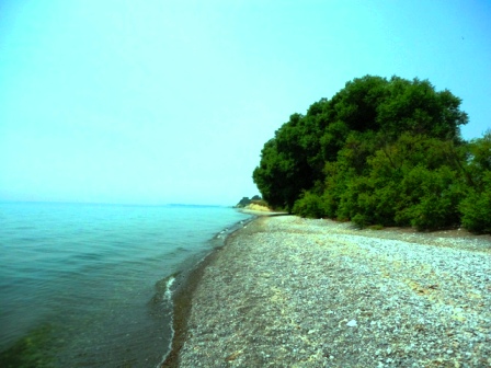Land for Sale in Oshawa, Ontario — 86.00           AC — CAD $3,900,000.00