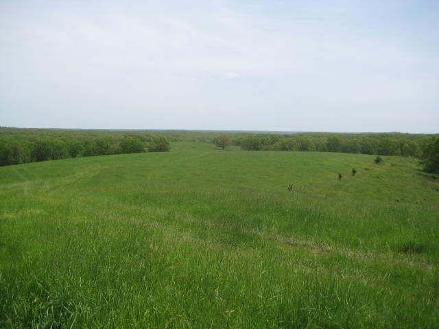 Land for Sale in Missouri — 345.00          AC — $750,000.00