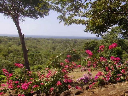 Land for Sale in Pochomil, Managua — 315,580.00      SM — $959,880.00