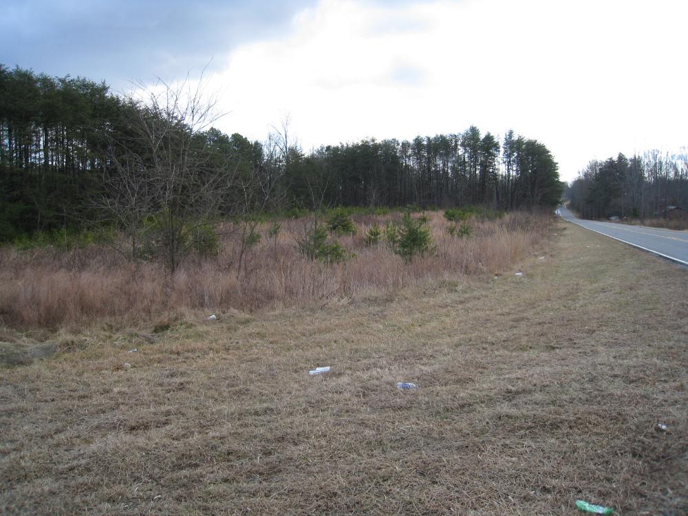 Land for Sale in Pinnacle, North Carolina — 17.00           AC — $119,000.00
