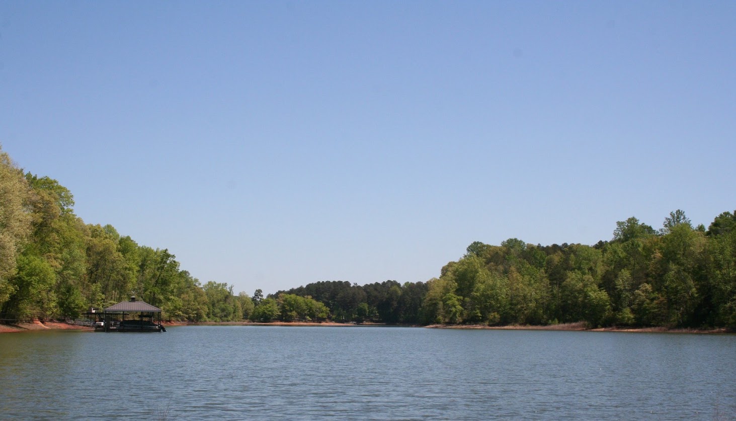 Land for Sale in Lavonia, Georgia — 54.00           AC — $380,000.00