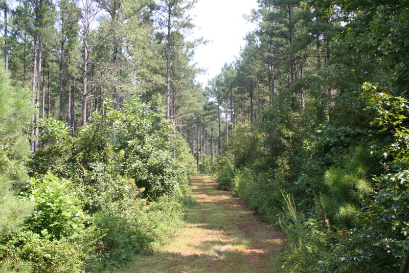 Land for Sale in Laurens, South Carolina — 89.43           AC — $260,000.00