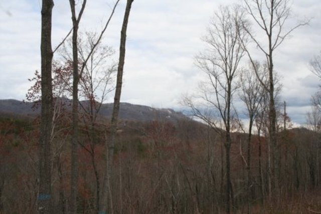 Land for Sale in Travelers Rest, South Carolina — 37.50           AC — $168,755.00
