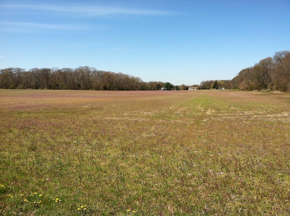 Land for Sale in Pittsgrove, New Jersey — 22.00           AC — $199,999.00