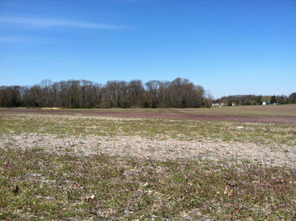 Land for Sale in Pittsgrove, New Jersey — 6.00            AC — $55,555.00