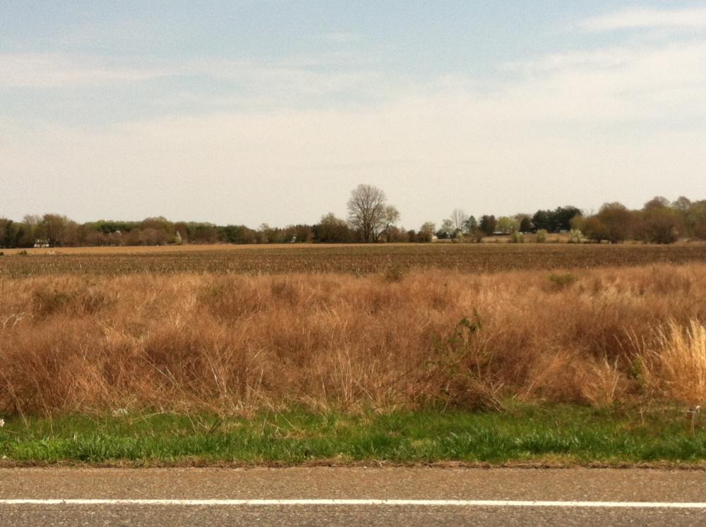 Land for Sale in Pilesgrove, New Jersey — 2.00            AC — $44,444.00
