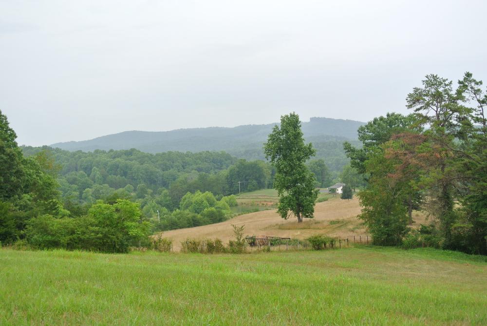 Land for Sale in WESTFIELD, North Carolina — 85.00           AC — $467,500.00