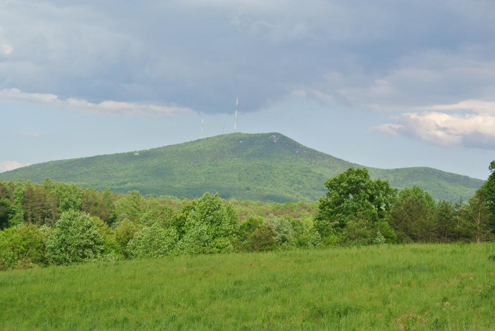 Land for Sale in PINNACLE, North Carolina — 25.00           AC — $137,555.00