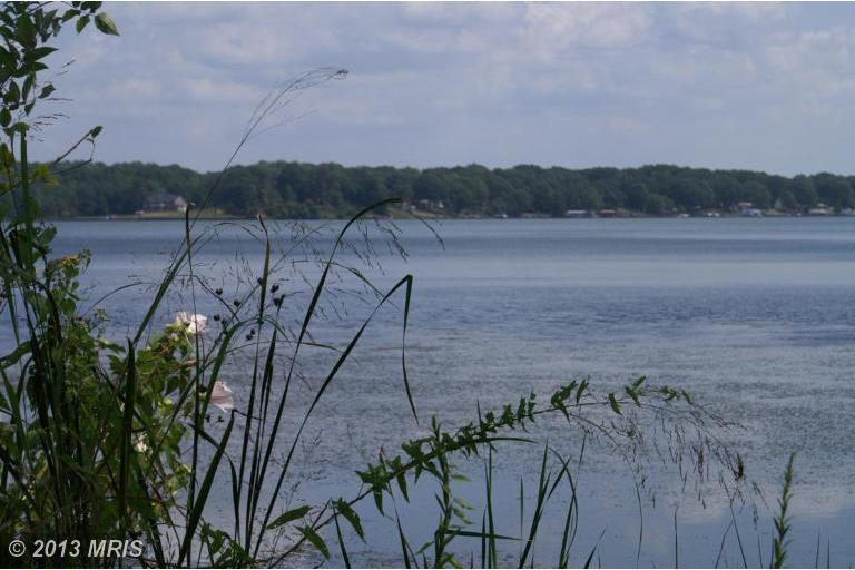Land for Sale in Virginia — 101.00          AC — $2,000,000.00