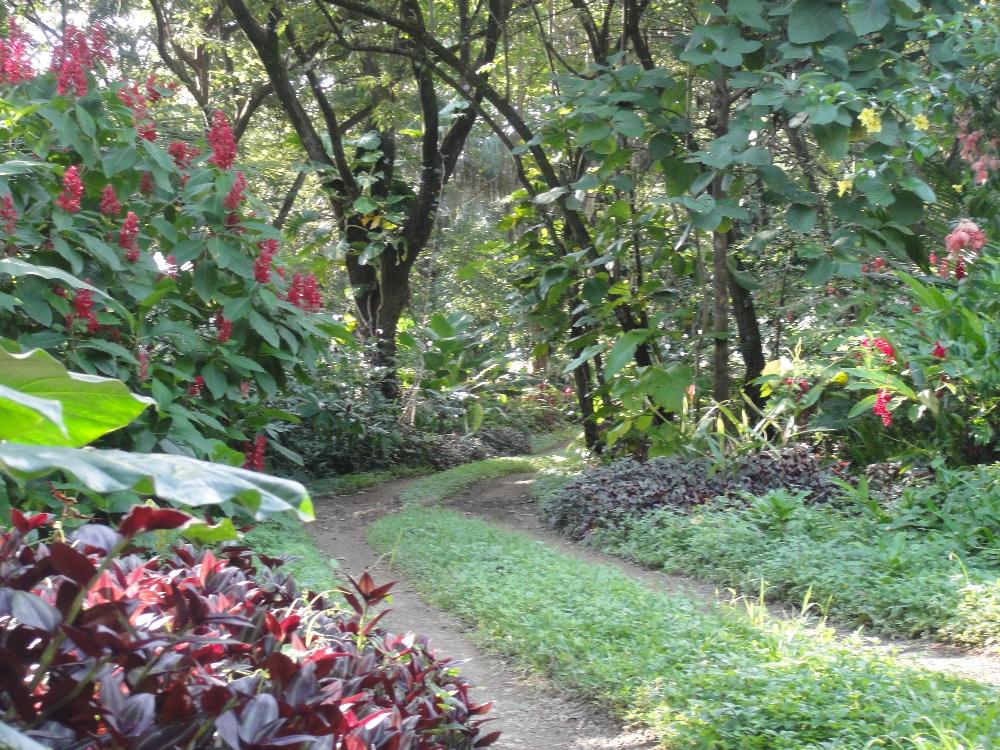 Land for Sale in Nosara, Guanacaste — 5,599.31        SM — $179,000.00