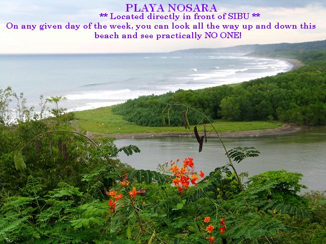 Land for Sale in Nosara, Guanacaste — 6,767.30        SM — $259,000.00