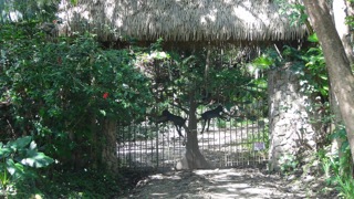 Land for Sale in Nosara, Guanacaste — 5,794.75        SM — $159,000.00
