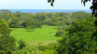Land for Sale in Nosara, Guanacaste — 6,672.15        SM — $249,000.00