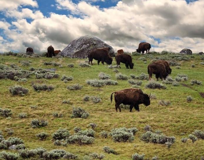 Land for Sale in hilger, Montana — 4,000.00        AC — $6,000,000.00