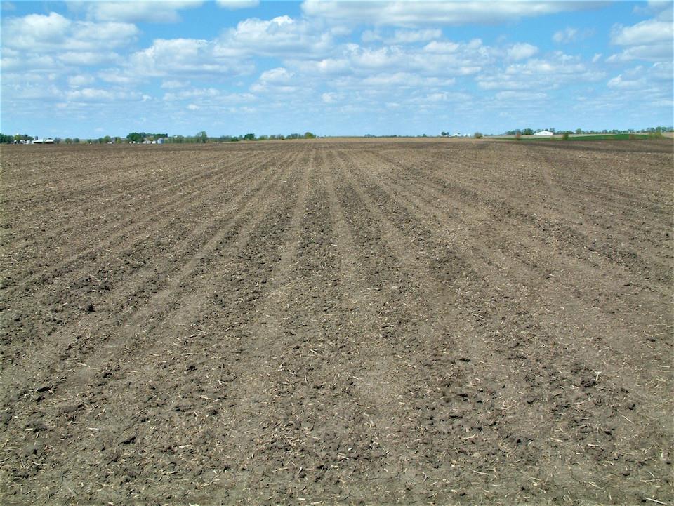 Land for Sale in Illinois — 141.20          AC — $1,426,120.00