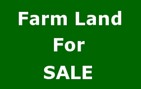 Land for Sale in Mt. Olivet, Kentucky — 50.00           AC — $118,000.00