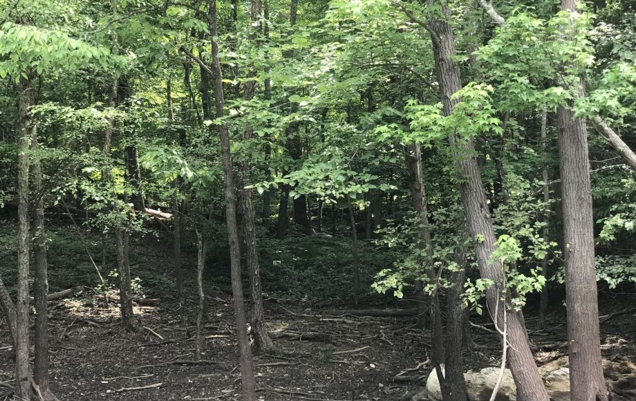 搜寻地产 in Virginia, 