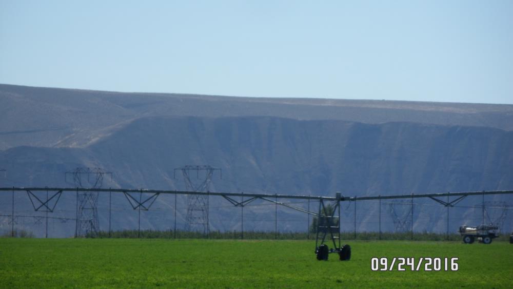 Land for Sale in Royal City, Washington — 278.00          AC — $3,900,000.00