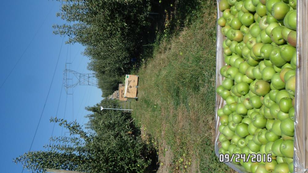 Land for Sale in Royal City, Washington — 129.00          AC — $1,700,000.00