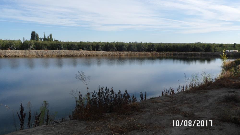 Land for Sale in Othello, Washington — 210.55          AC — $3,800,000.00