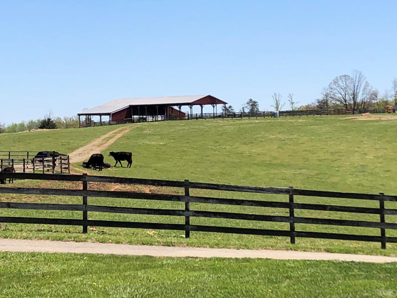 搜寻地产 Wirtz, Virginia, 