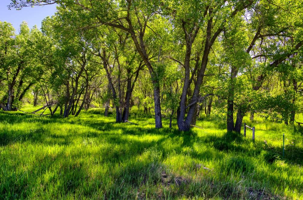 Land for Sale in Bennett, Colorado — 142.00          AC — $850,000.00