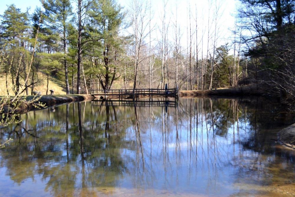 Land for Sale in Virginia — 40.56           AC — $539,950.00