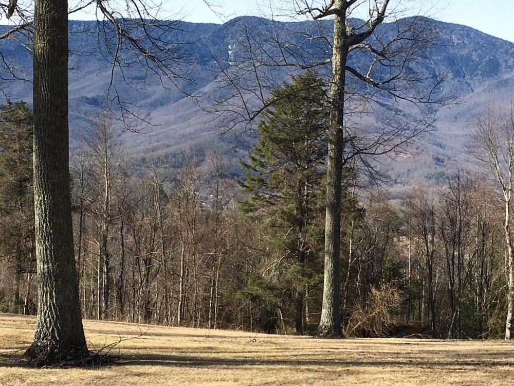 Land for Sale in Burnsville, North Carolina — 2.58            AC — $5,000.00