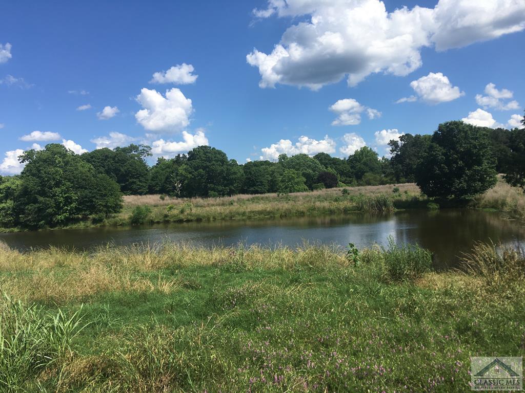 Land for Sale in Comer, Georgia — 122.44          AC — $735,000.00